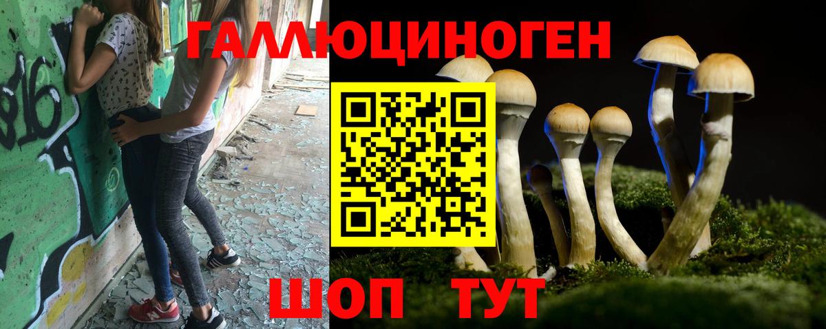 Галлюциногенные грибы Psilocybine cubensis Ростов-на-Дону