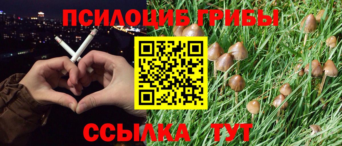 Псилоцибиновые грибы MAGIC MUSHROOMS  Галлюциногенные грибы Magic Shrooms  Ростов-на-Дону  Вход с VPN 